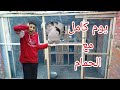 يومياتي مع الحمام