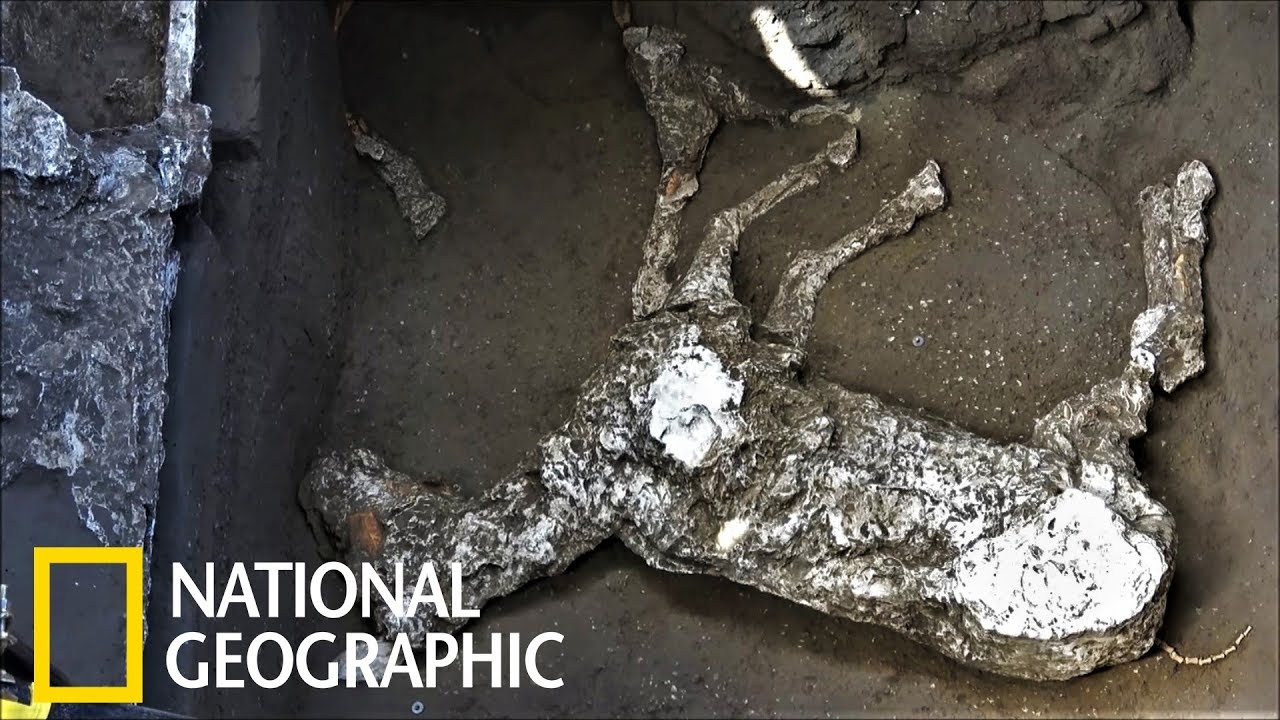 「來不及逃脫……」龐貝古城發現繫有韁繩的馬匹遺骸《國家地理》雜誌