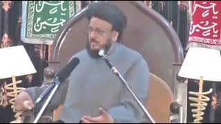 یہ فقہ جعفریہ کے منبر پر بیٹھا ہے۔اور حق سچ کی بات کرنے میں شیعوں کو ہی تنقید برائے اصلاح کا نشانہ ب