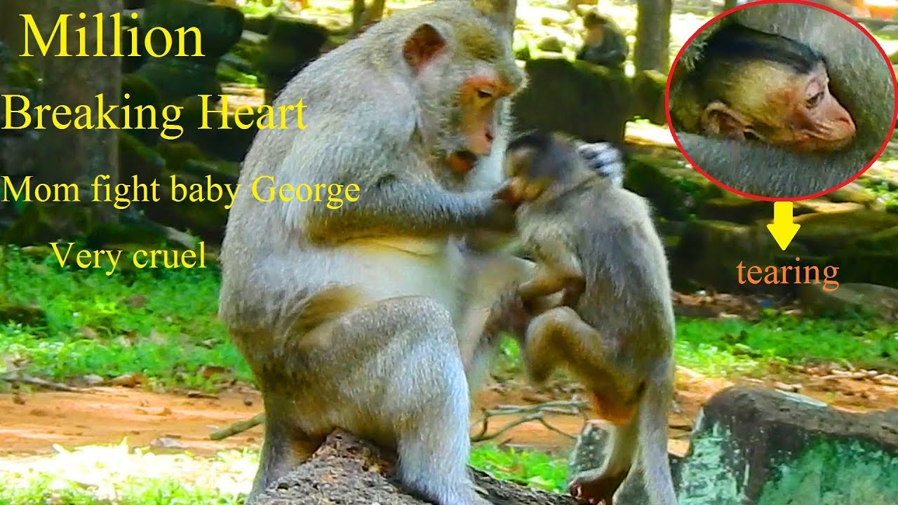 Million breaking heart ! your tear will drop down when you see Gladdis fight George very cruel