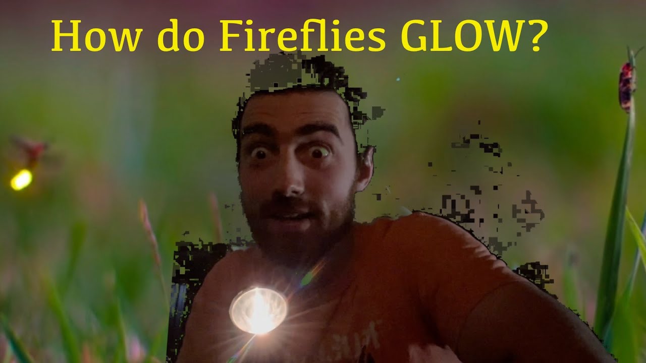 What is the glow of the Firefly made of? - YouTube