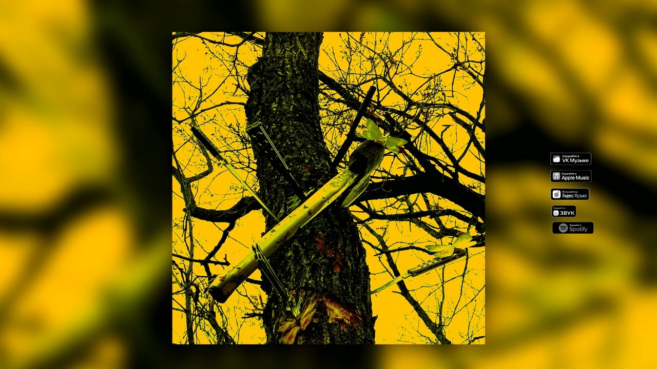 Radri - Бабочки