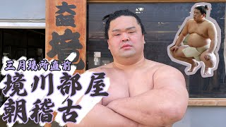 大相撲　境川部屋　反物 Amazon.co.jp: 大相撲 境川部屋 妙義龍関 反物 浴衣 菊
