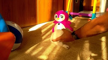 Raspberry Camera roadtest - video capture full HD, 30 fps, daylight