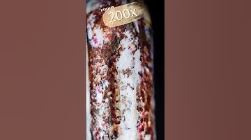 Maximum zoom _ Old nail#macro #asmr #amazing #shortvideo #shorts