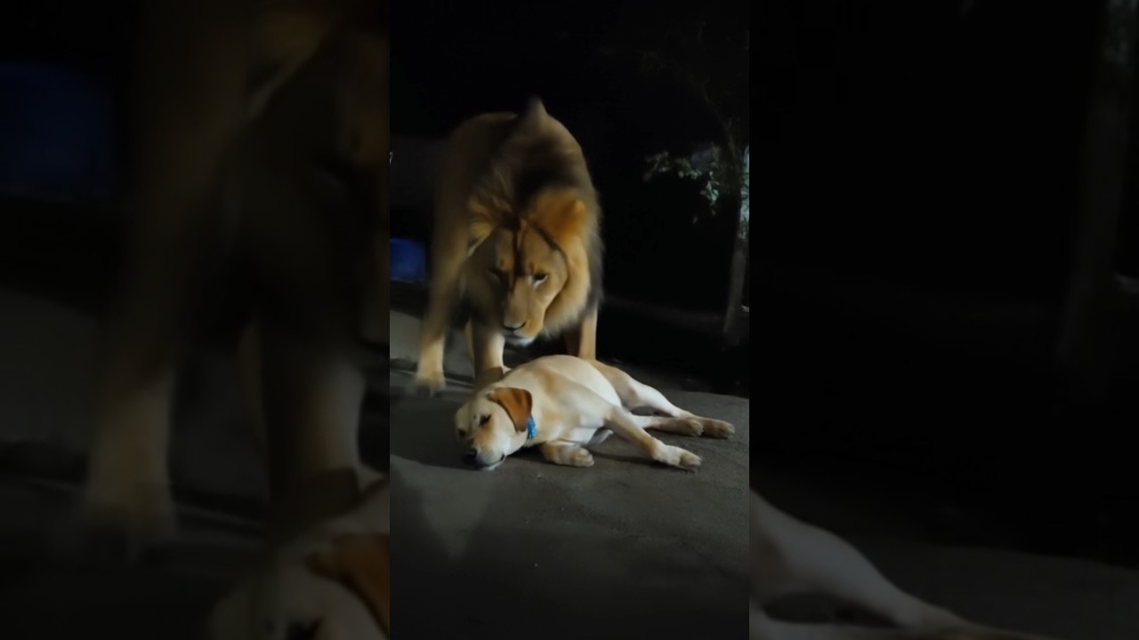 Cheetah vs Army | Epic AI Battle Scene | Unreal Wildlife Action in 4K