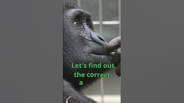 Quiz: ultimate Trivia Showdowns: Test Your Knowledge and Have Fun!  #shortvideo