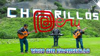 Video thumbnail of "ME ODIO (TRIO SIN FRONTERAS)"