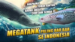 BUKA PUASA DI MEGATANK IKAN PREDATOR PALING BAR BAR | KAYAK TEMPUR GODZILLA & KING KONG !