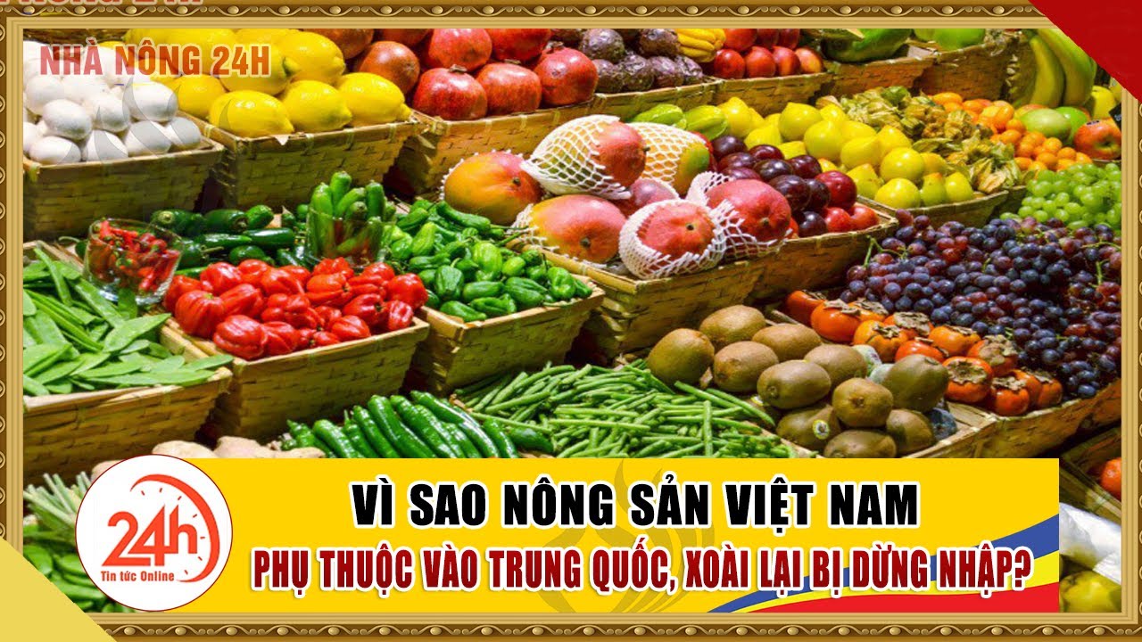 Vì Sao nông sản Việt Nam Phụ Thuộc Vào Trung Quốc. Cập Nhật Tổng hợp toàn cảnh giải cứu nông sản