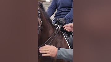 Double bridle reins, ways to hold