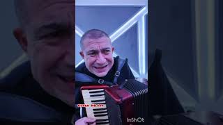 Stefan Dlb  For Studys Little Daddy Arnaut And Leonard