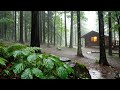 🌧️ Cozy Cabin in the Rainforest | Relaxing Rain Sounds for Sleep, Study &amp; Deep Relaxation (10 Hours)