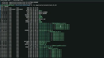 Oracle Instant Client 21.12 configureren in Ubuntu en verbinding maken met Oracle Database 21c Ex...