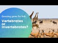 Animal Classification Quiz