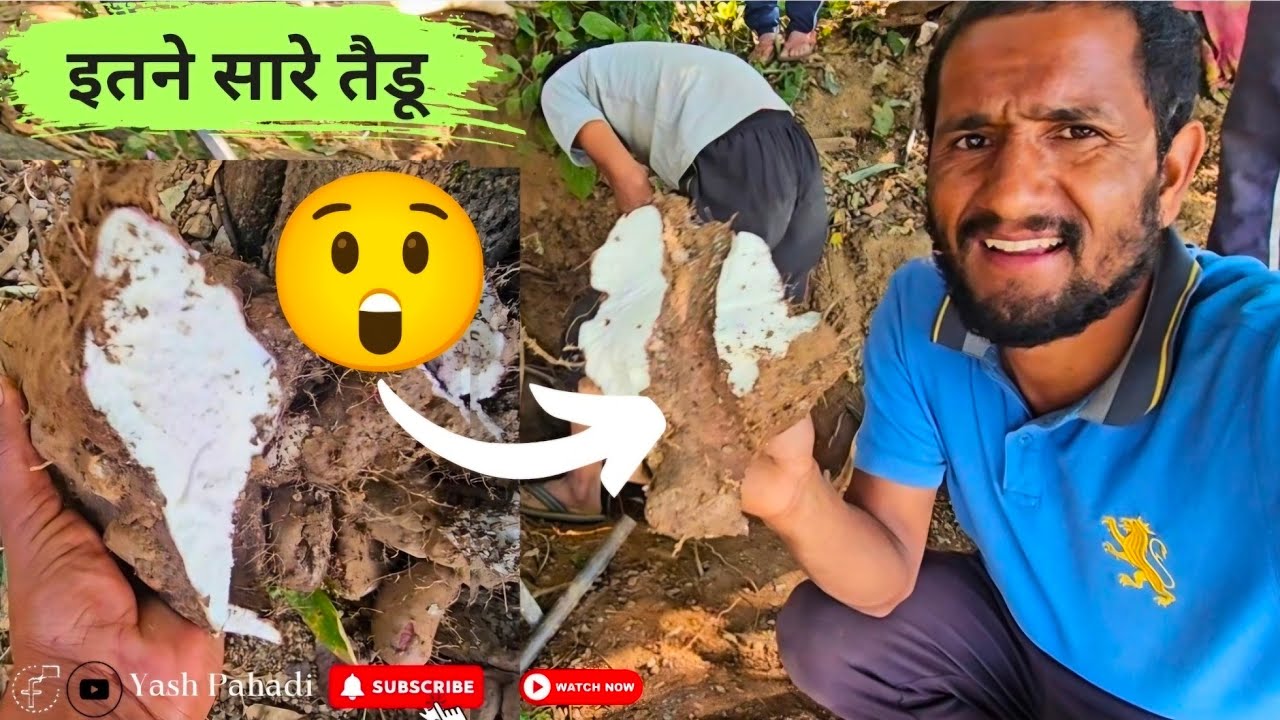 Сегодня я принесла много гадюк || Так много гадюк 😲 мое состояние ухудшилось 😭 Видео от @yashpaha...