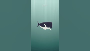 ✨❤️وذا النون إذ ذهب مغاضبآ | تلاوة #اسلام_صبحي🎧 حالات واتس اب رائعة 🥺🐋