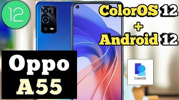 Oppo A55 ColorOS 12 & Android 12 Update || Oppo A55 New Update
