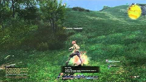 Final Fantasy XIV 1.0 Pugilist Combat 2