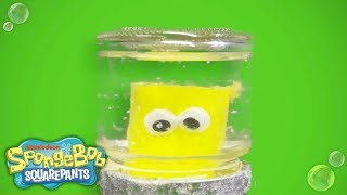 SpongeBob SquarePants | Holiday Snowglobe DIY | Nick