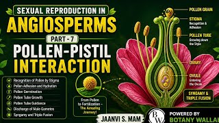Sexual Reproduction in Angiosperms – Part 7 | Pollen-Pistil Interaction Explained by -Jaanvi S. Mam 