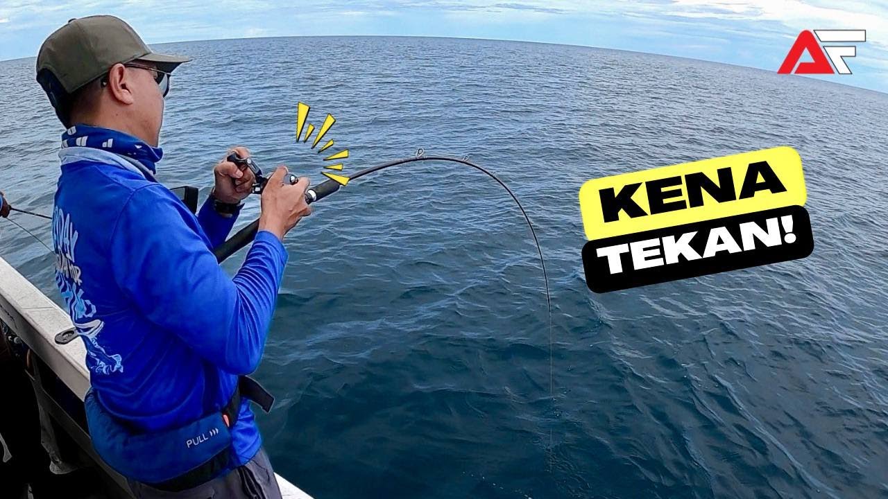 Diserang Ikan Merah Bertubi-tubi