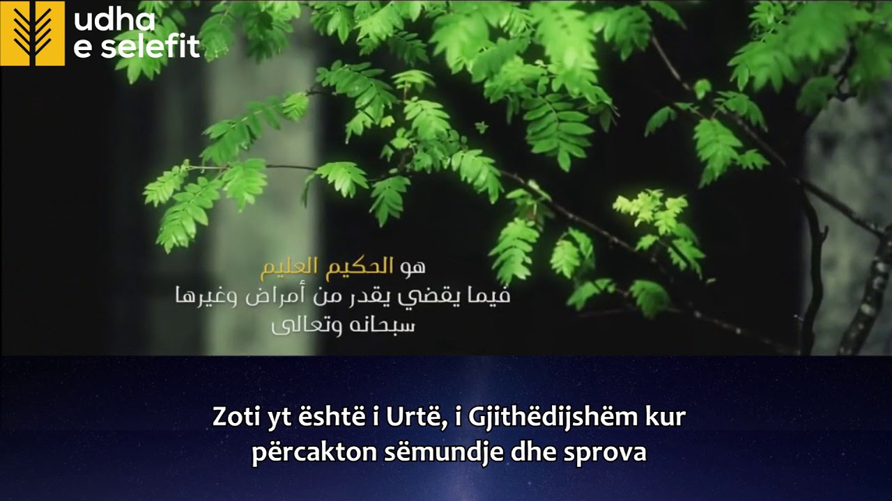 Sëmundja dhe sprova Shejh Bin Bazi (Allahu e mëshiroftë)