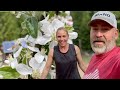 Planting Fruit Trees in our Off Grid Homestead Garden