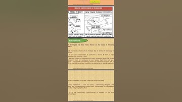 new trade theory unit 2 I.T TY B.COM