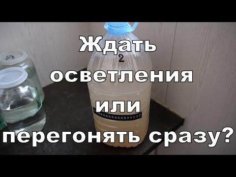 Осветлять брагу или нет? Сравнение двух бражек. ГХ анализы.