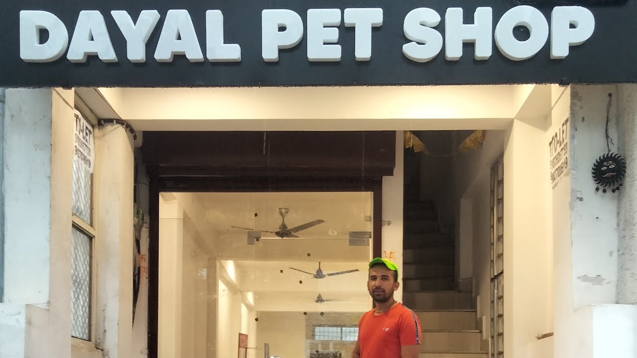 DAYAL PET SHOP BHOPAL MP ALL OVER INDIA DELIVERY AVAILABLE