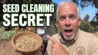 The Fastest Way To Clean Zinnia Seeds. I DId It Wrong for Years Before I Found This.