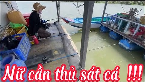 Câu cá giải trí trên bè được rất nhiều loại cá ngon !!! | Lang thang cần giờ |