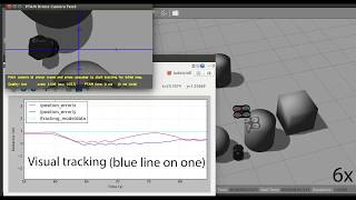 Drone Visual and Position Tracking
