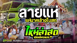 บรรยากาศแห่นาคเข้าอุโบสถ//เพลงมาแรงเปิดเต้นงานบวช : มด มัทณา #รถแห่ลูกอีสานมิวสิคโคราช
