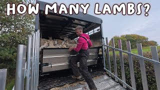видео: Первый выезд с новым прицепом LIVESTOCK. картинка: Первый выезд с новым прицепом LIVESTOCK.