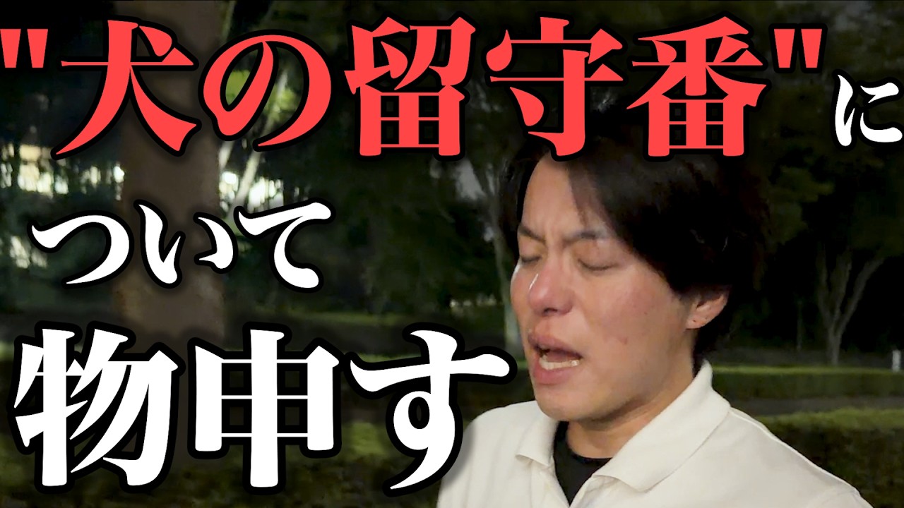 犬の留守番完全ガイド|吠える・破壊・排泄を分けて考えるを動画で見る
