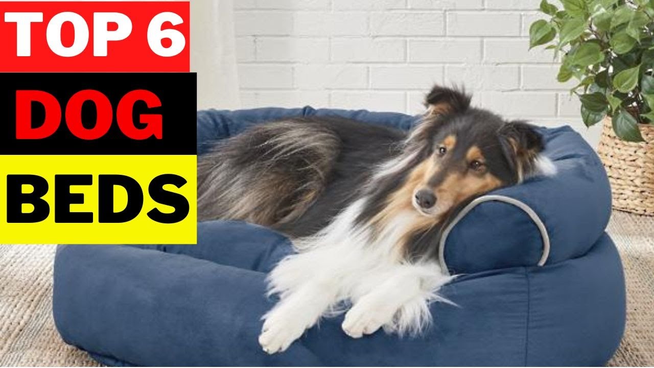 TOP 6 Best Dog Beds in 2022 YouTube