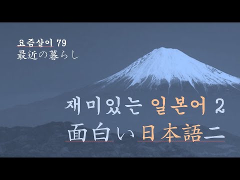 요즘살이 这些日子 最近の 暮らしthese Days 79 재미있는 일본어 2 面白い 日本語 二 Youtube