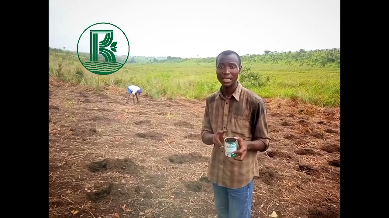 Réussir sa culture de pastèque (Partie 1:  Semis)