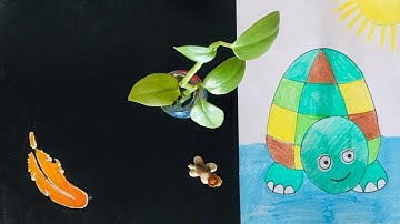 Episode 4 - Bobble Head Turtle