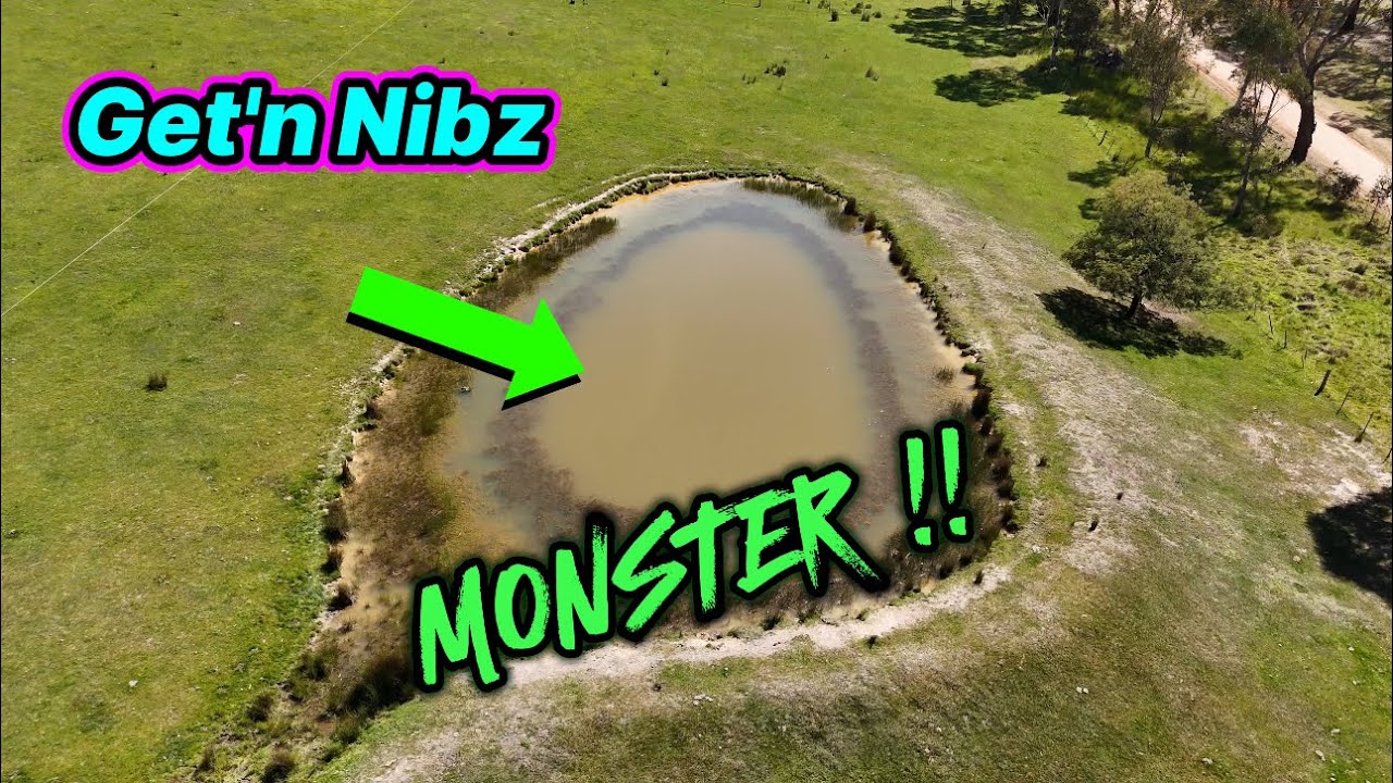 BIGGEST Catch so Far!! - YouTube