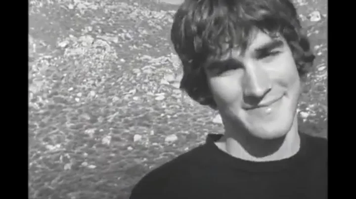 Chris Doyle // System Video // 2004