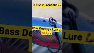 MarineCreek🎣👉🏼FullVid tomorrow 6am central time #fun #art #fishing #viral #happy #animals #crazy