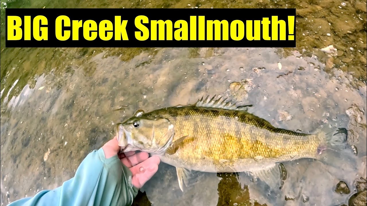 Fishing Big Streamers for Bass Fly Fishing Eastern Kentucky YouTube