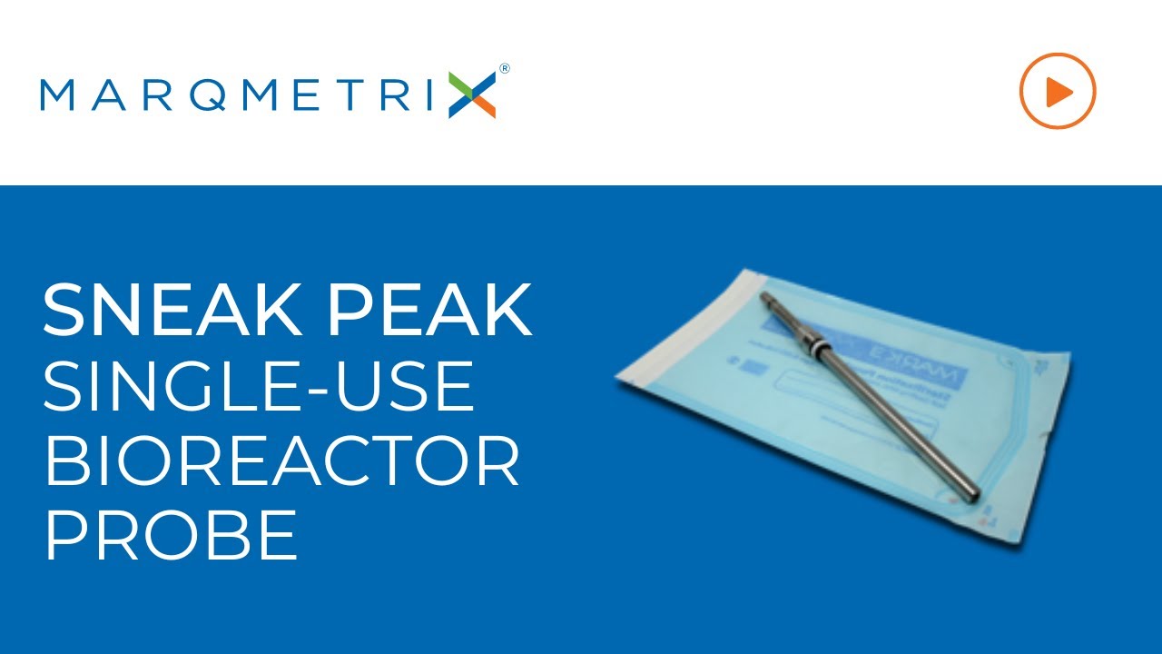Single-Use Raman for High Purity Batches: New Single-Use BioReactor BallProbe