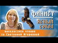 Финист - ясный сокол, русская народная сказка. PRO сказки