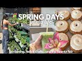Spring Vlog 🌱🌸 Healthy habits, plant shopping, etc!