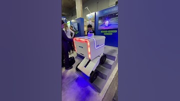 Demonstration of the Mobinn last-mile delivery robot