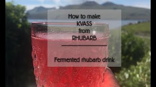 Fermented Rhubarb drink - KVASS from rhubarb NATURAL Recipe